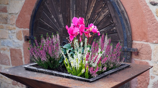 Hvordan du kan bruge plantekasser til at dyrke grøntsager på balkonen
