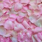 Tørrede blomster i brudebuketter – en romantisk og nostalgisk trend