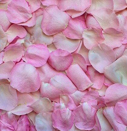 Tørrede blomster i brudebuketter – en romantisk og nostalgisk trend