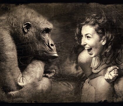 Patagonia-tasker: Den ultimative compagnon til den moderne eventyrer