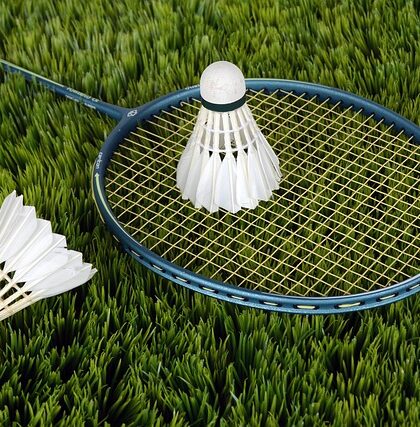 Fra Begynder til Ekspert: FZ Forza's Badmintonketchere til Alle Niveauer