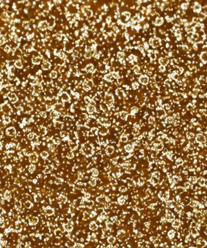 Gærflager fra Pureviva: En guide til at vælge den rette variant til din kostplan