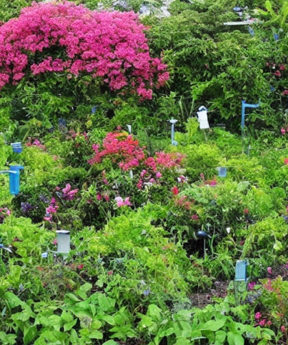 Hold styr på regnmængden i din have med en smart regnmåler fra Gardena