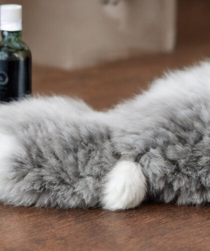 Loppehalsbånd og loppemidler til katte: En sammenligning