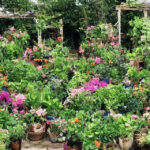 Sådan kan du genanvende gamle plantesække i din have