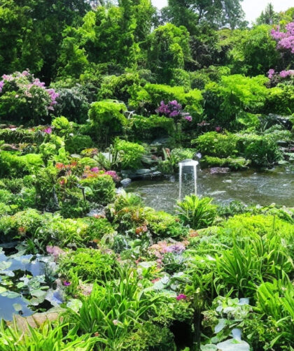 Spar tid og energi med Kärchers automatiske havepumpe